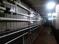 Bild (36)